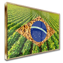 Quadro Bandeira Brasil Soja E Arroz