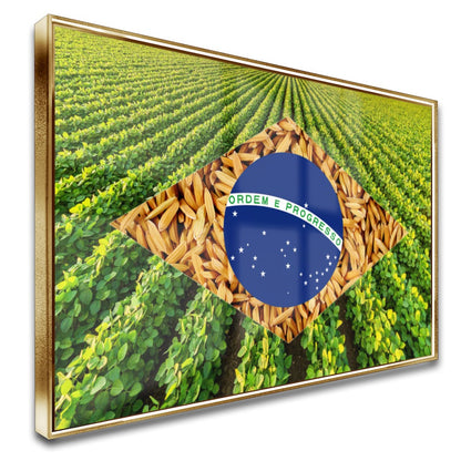Quadro Bandeira Brasil Soja E Arroz