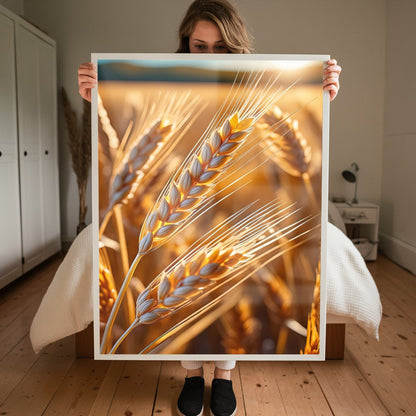 Quadro Campo De Trigo Ao Amanhecer