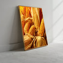 Quadro Espigas De Milho Maduras
