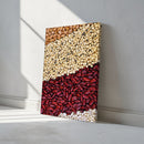 Variedas De Grãos De Feijão