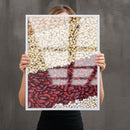 Variedas De Grãos De Feijão