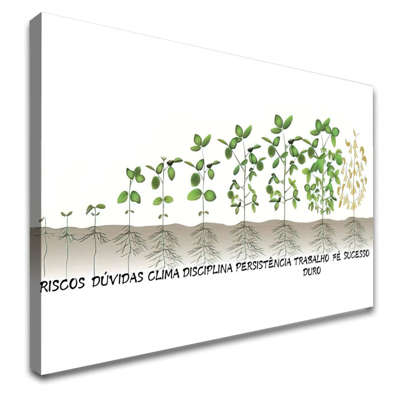 Quadro Dificuldades Do Agronegócio Soja