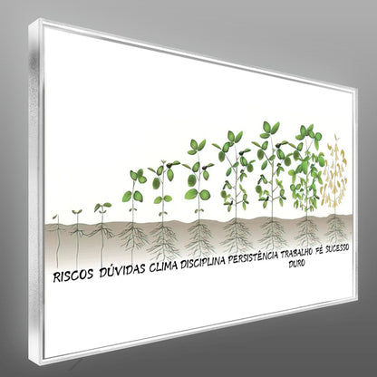 Quadro Dificuldades Do Agronegócio Soja