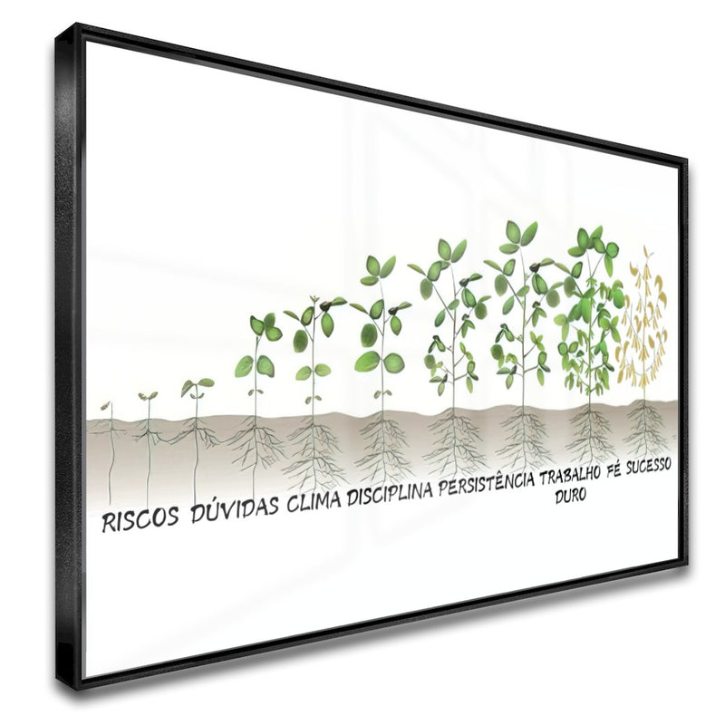 Quadro Dificuldades Do Agronegócio Soja