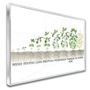 Quadro Dificuldades Do Agronegócio Soja