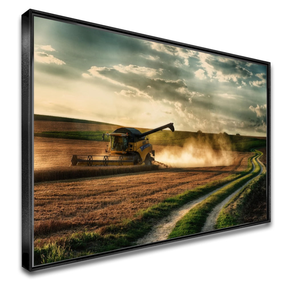 Colheitadeira Nh Colheita Paisagem