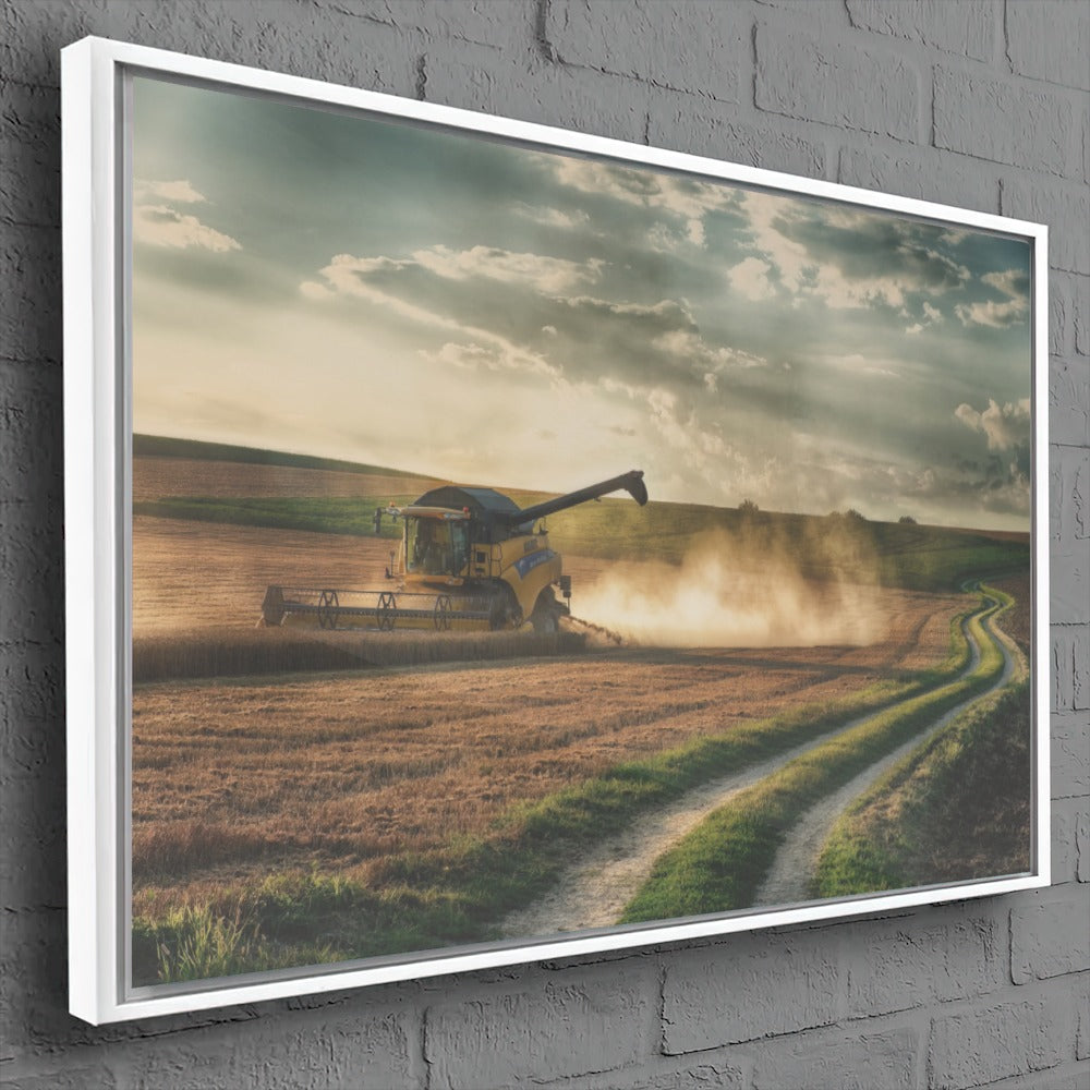 Colheitadeira Nh Colheita Paisagem