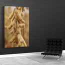 Quadro pé de soja maduro – Agro Quadros