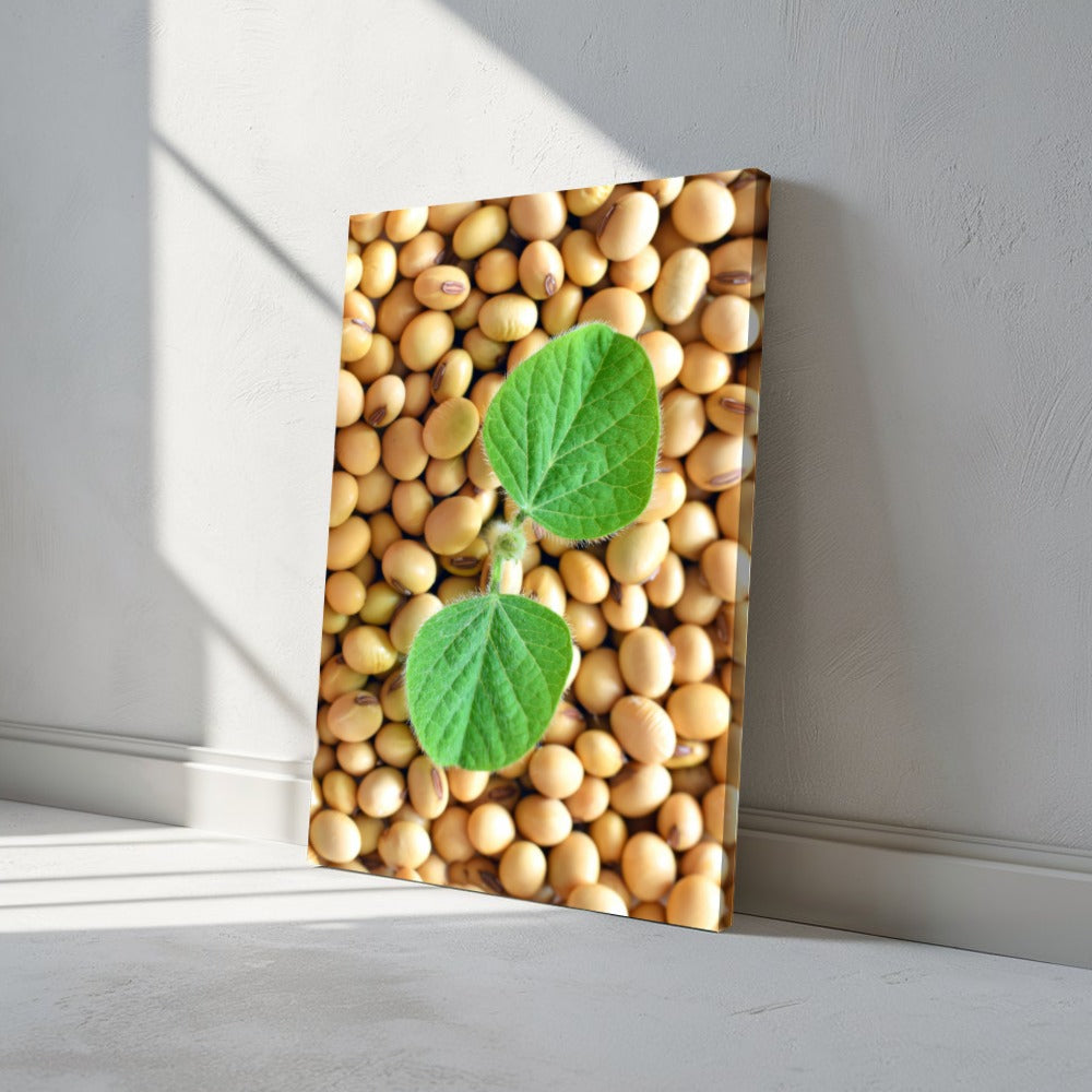Quadro grãos de soja e planta – Agro Quadros