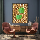 Grãos De Soja E Planta