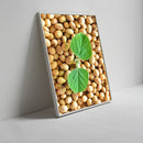 Grãos De Soja E Planta