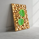 Grãos De Soja E Planta