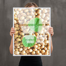 Grãos De Soja E Planta