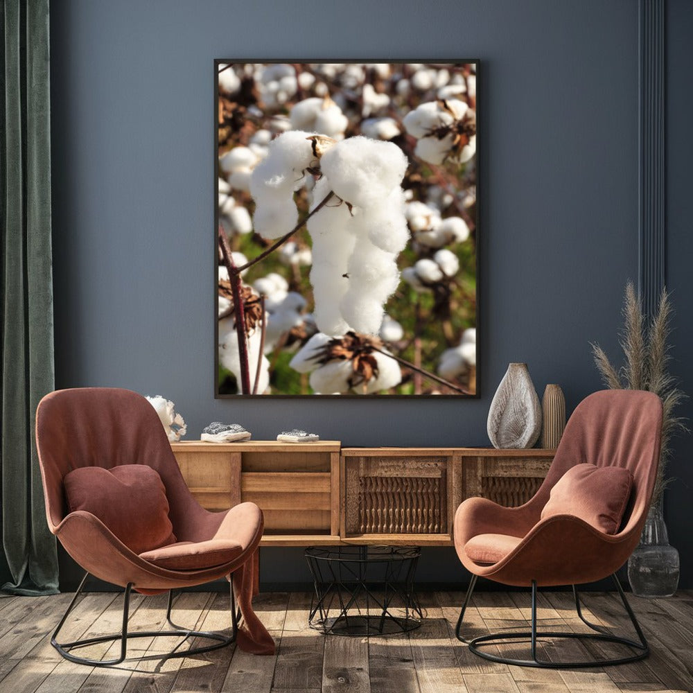 Capulho De Algodão Vertical