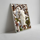 Capulho De Algodão Vertical