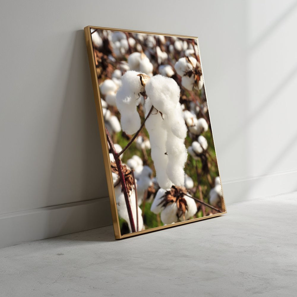 Capulho De Algodão Vertical