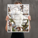 Capulho De Algodão Vertical