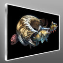 Quadro Cadeia Alimentar Dos Peixes