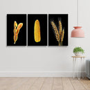 Kit 3 Quadros Sementes Soja, Milho, Trigo Fundo Black