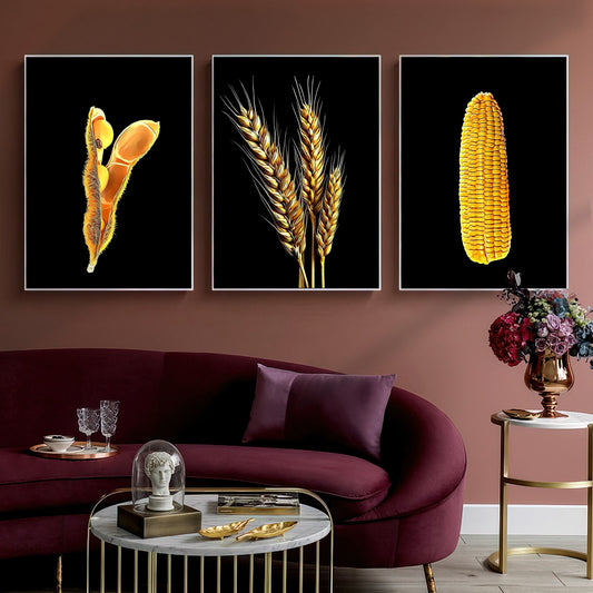 Kit 3 Quadros Sementes Soja, Milho, Trigo Fundo Black