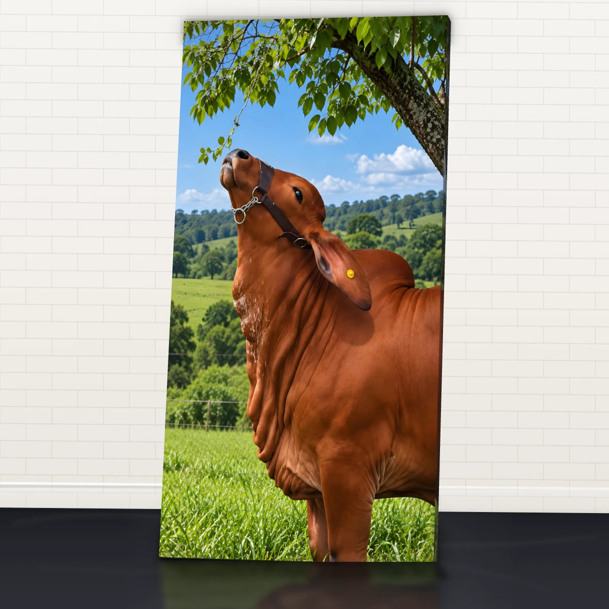 Quadro Cozinha Touro Nelore Rural