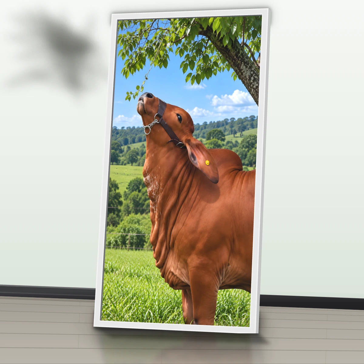 Quadro Cozinha Touro Nelore Rural