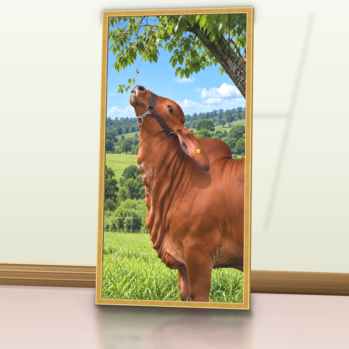 Quadro Cozinha Touro Nelore Rural