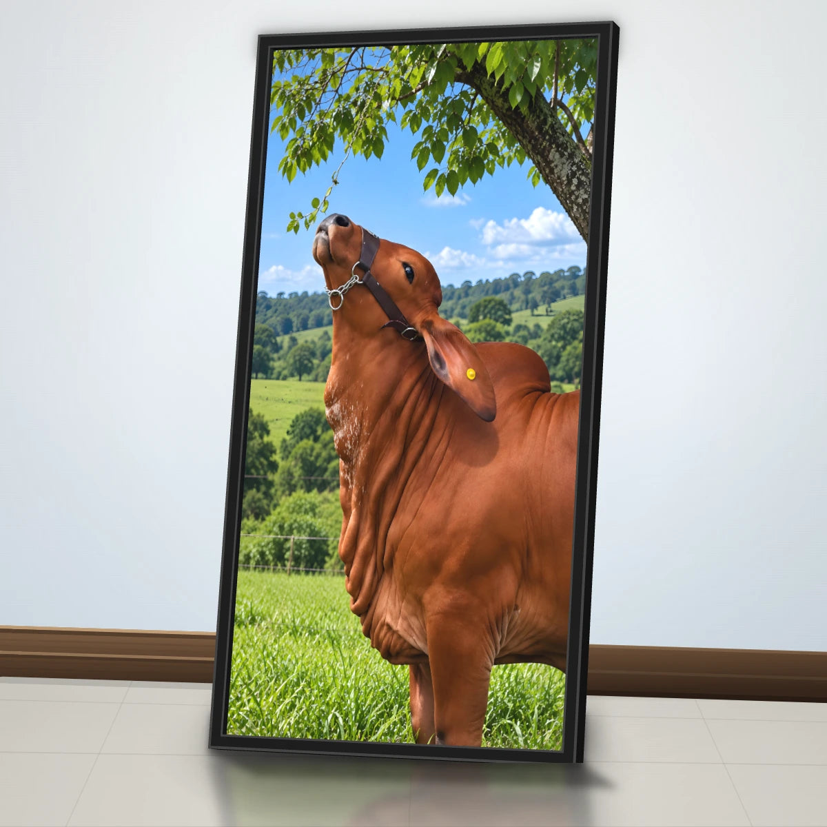 Quadro Cozinha Touro Nelore Rural