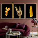 Kit 3 Quadros Sementes Soja, Milho, Trigo Fundo Black