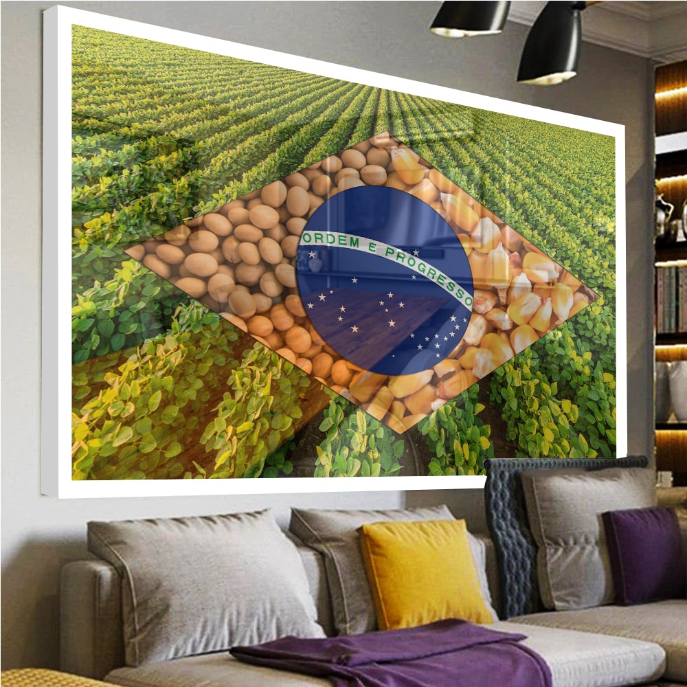 Quadro Bandeira Brasil Agro