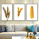 Kit 3 Quadros Sementes Douradas Fundo White (DESCONTAÇO)