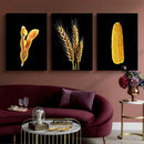 Kit 3 Quadros Sementes Soja, Milho, Trigo Fundo Black