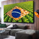 Quadro Bandeira Brasil Agro