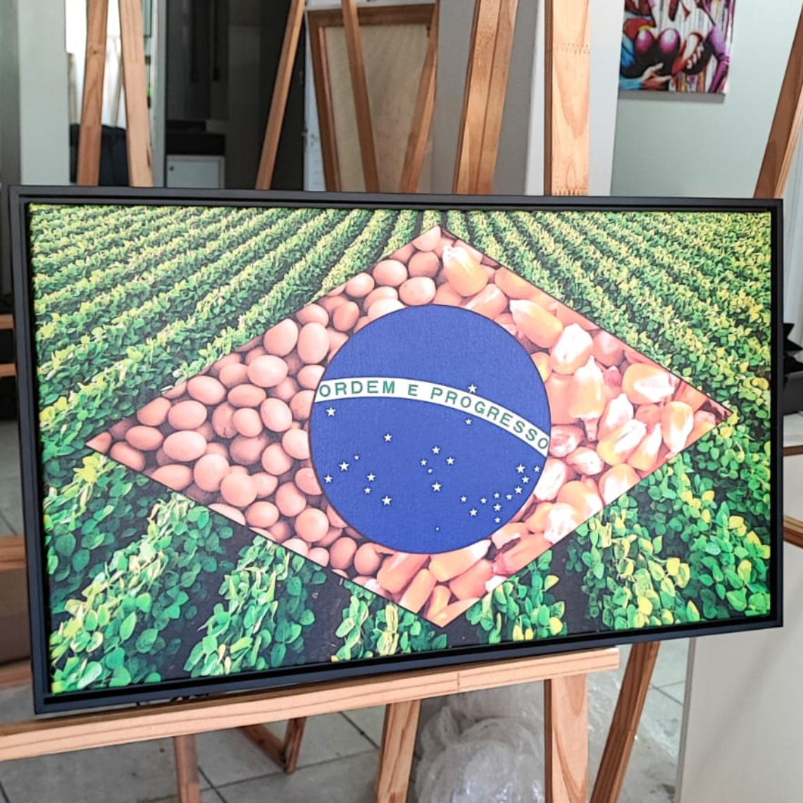 Quadro Bandeira Brasil Agro
