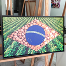Quadro Bandeira Brasil Agro
