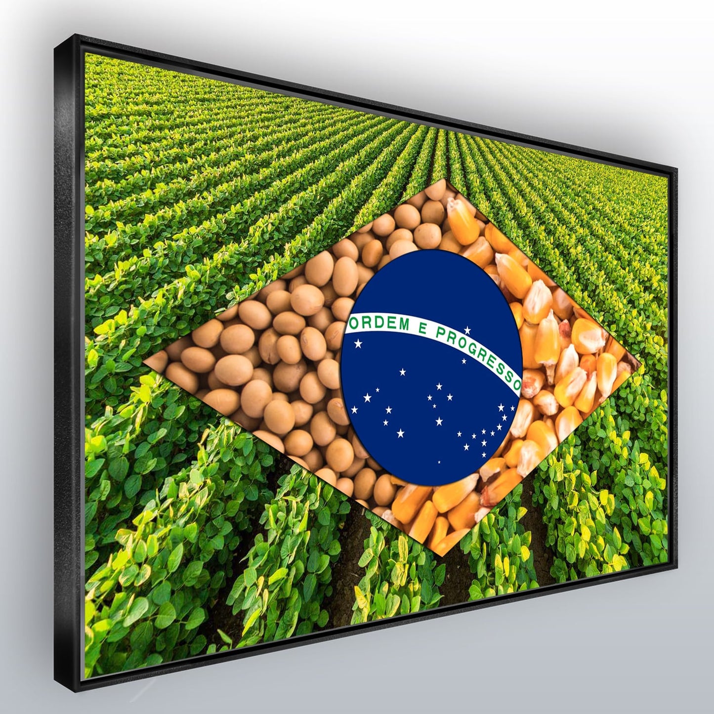 Quadro Bandeira Brasil Agro